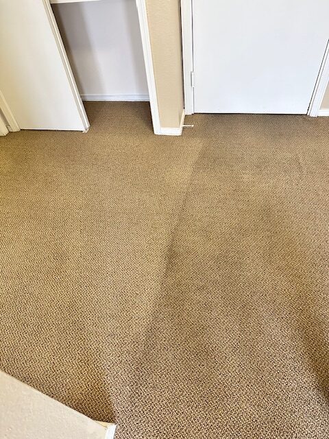 Carpet Cleaning before and after